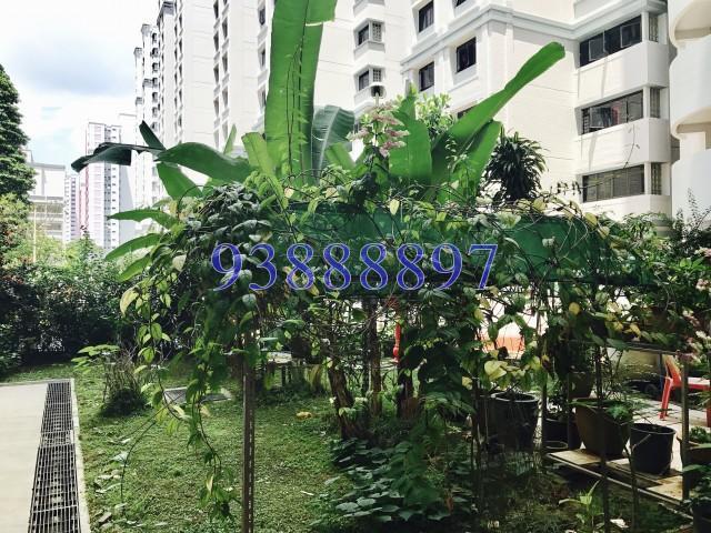 Blk 685A Choa Chu Kang Crescent (Choa Chu Kang), HDB 4 Rooms #143043392